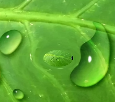 How to create Water Drops