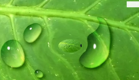 How to create Water Drops